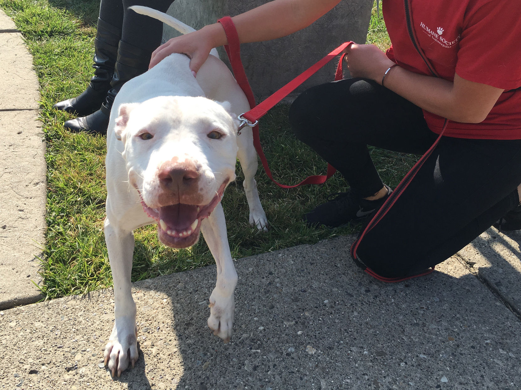 Kane-HumaneSociety